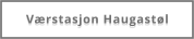 Værstasjon Haugastøl